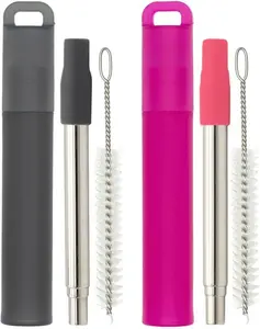 Metal Reusable Straws, 2 Pack Collapsible Portable Stainless Steel Straws, with Plastic Housing Silicone Tips and Cleaning Brush, Retractable Portable Pocket Drinking Straws