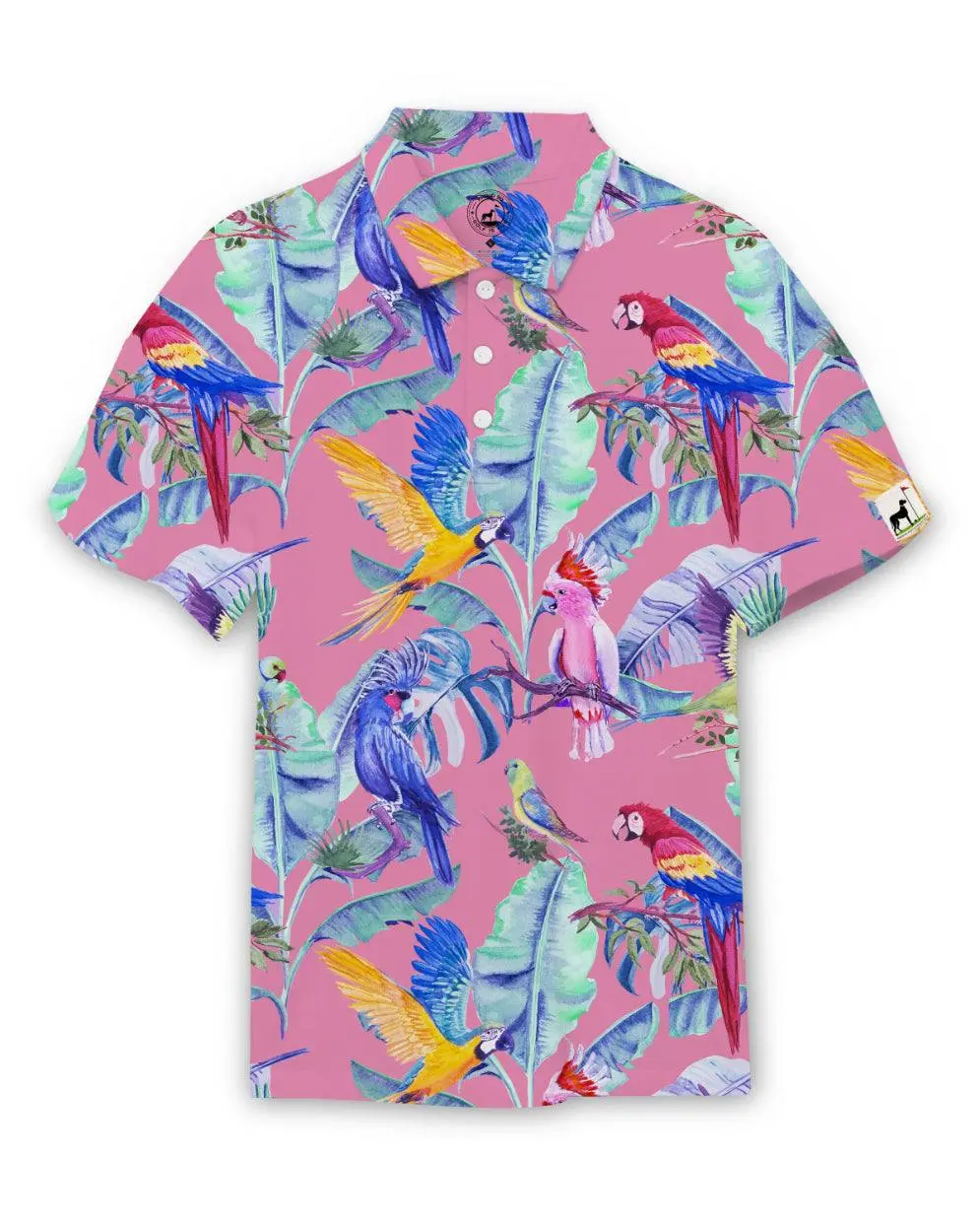 Birds of Paradise