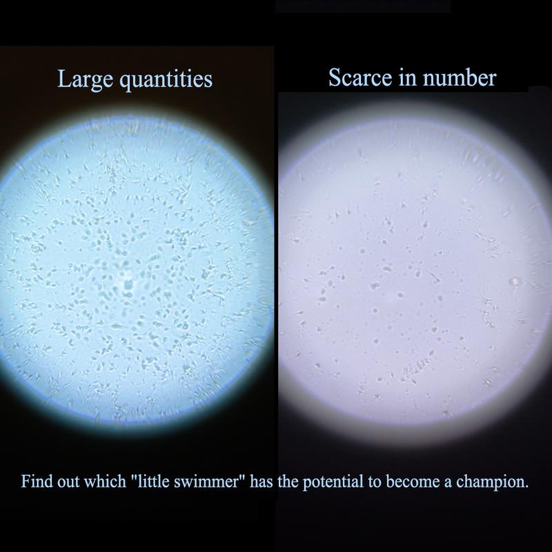 Magnifier Pro Disposable Clear field of view Private and easy to use Disposable lens (reusable base)