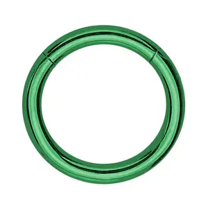Green PVD Hinged Stainless Steel Segment Hoop Ring