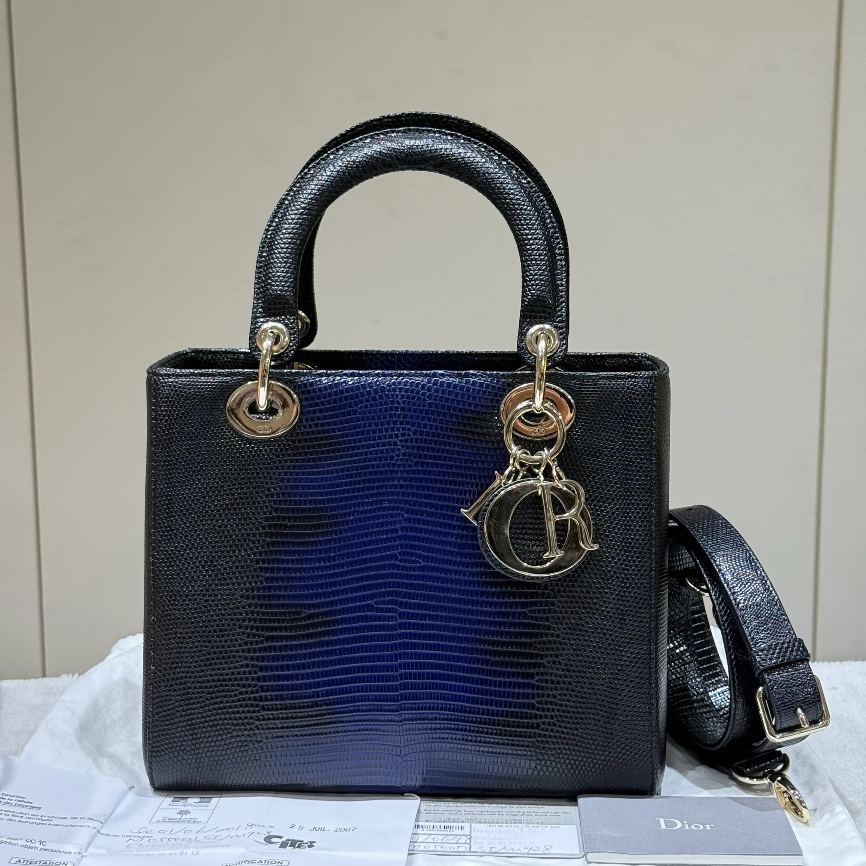 Pre-owned Dior Leather Shoulder Bags Christian medium Ombre Exotic Lady Bag w/ Strap 42029773