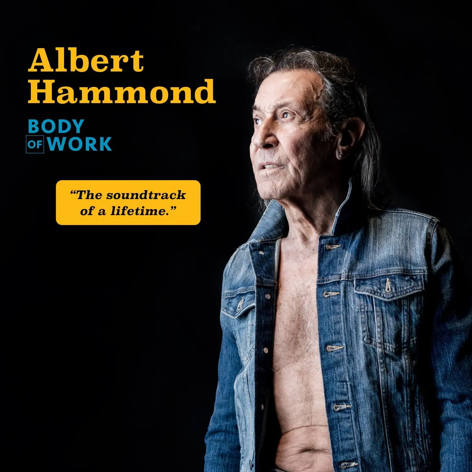 Albert Hammond - Body Of Work Music Vinyl LP (Long Play), Gatefold Jacket, Vinyl Records