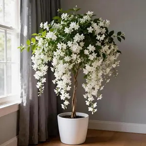 Non-GMO Garden Home Jasmine Garden Balcony  Flower Jasmine Flower Seeds for Planting Fragrant Plant Seeds