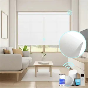 Motorized Roller Shades with Remote( Width 20"-30"), Light Filtering Fabric, Cordless Bluetooth Rechargeable Auto blinds for windows kitchen, living room, kids room, bathroom