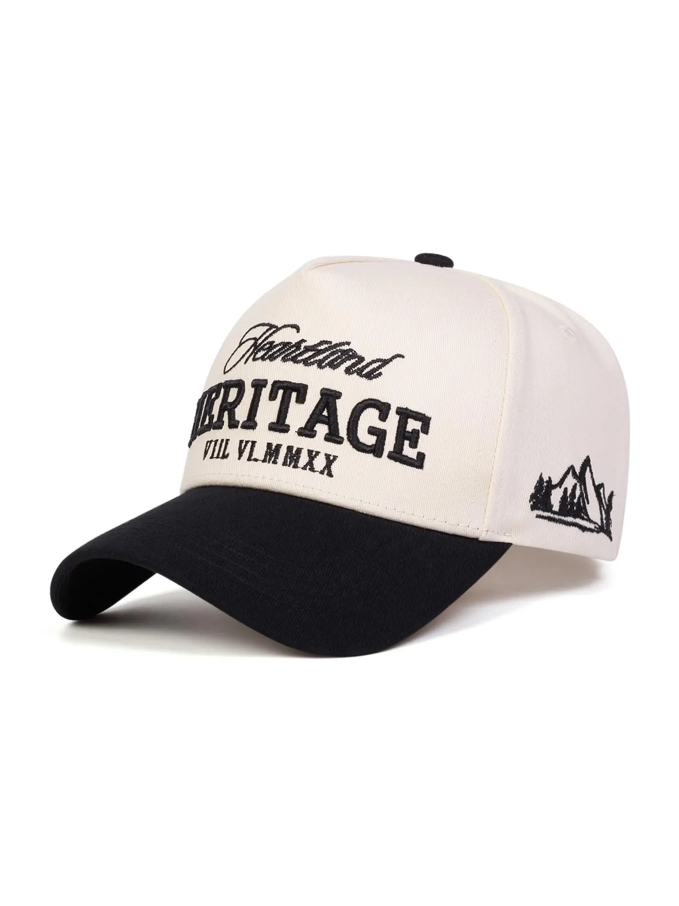 Unisex Casual Vintage Trucker Hat, Retro Trucker Cap, Fashionable Hat for Men & Women, Casual Hat for Outdoor Sports, Dandy Hats