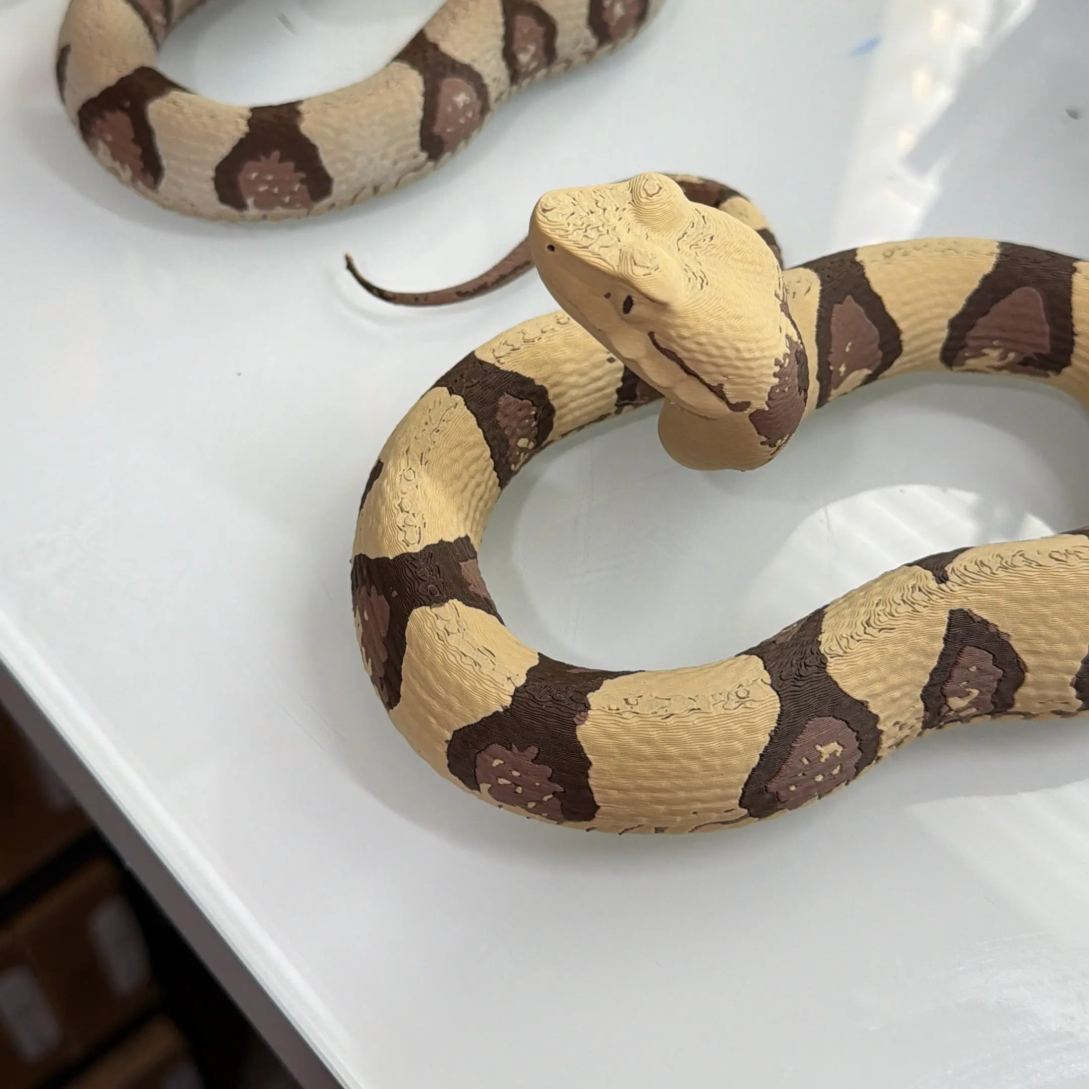 Copperhead Snake - PLA Indoors only
