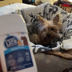 Twist+Lick Dental Gel for Dogs - Brush Free - ProLong Technology - Cleans Whitens Brightens - Controls Plaque & Tartar - Mess-Free Dental Care