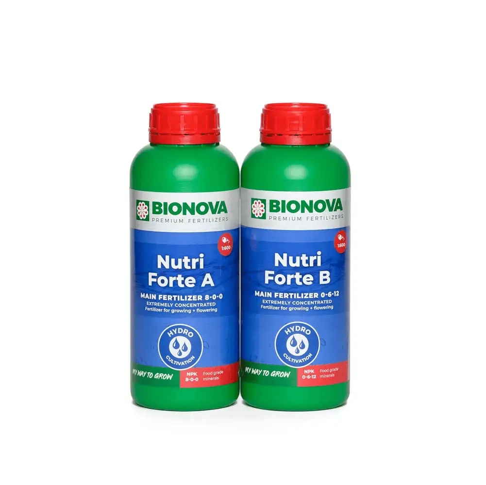 Nutri Forte A and B