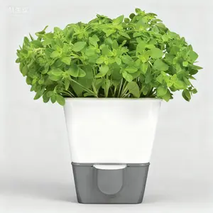 Refrigerator Fresh Herb Keeper with Hydro Pad & Pour Spout - Self-Watering Herb Saver for Kitchen Storage - Reusable Herb Container with Spill-Proof Lid - Airtight Herb Preserver for Long-Lasting Freshness