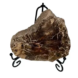 Brown Petrified Wood Slab - Natural Stone with Unique Patterns, Ideal for Home Decor and Crafting
