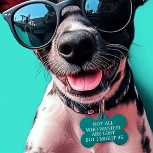 Custom Engraved Dog Tag - Funny Pet ID: 'Not All Who Wander Are Lost' - Durable, Personalized, Fast Shipping!