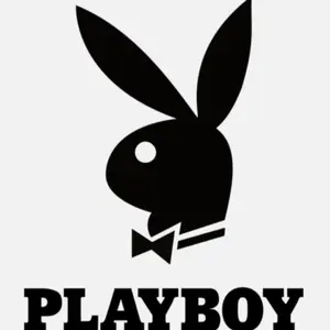 Playboy wording sticker decal