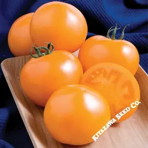 Tomato Seeds - Slicing - Momotaro Gold Hybrid