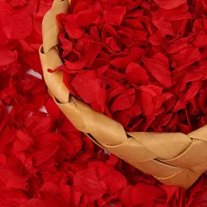 2000Pcs Real Dried Red Hydrangea Petals - Natural Small Petals for Wedding, Party Confetti, Valentine's Day, Girl Baskets, Night, Proposal Decor, Handcrafts (1.4 oz)