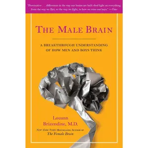 USED-The Male Brain: A Breakthrough Understanding of How Men and Boys Think by Brizendine, Louann (Paperback)