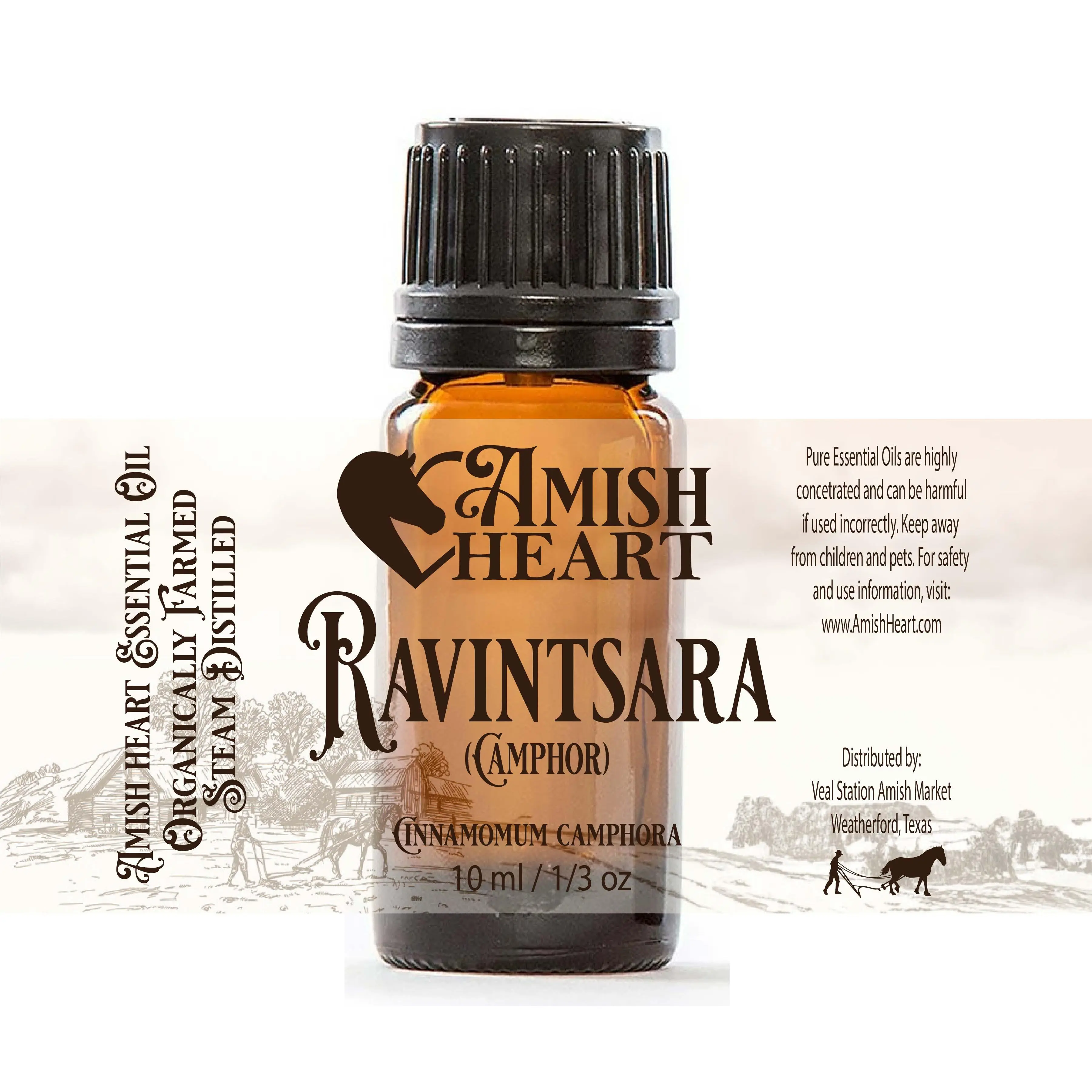 Ravintsara (Camphor) Essential Oil | Therapeutic | Amish Heart