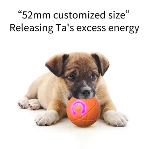 Interactive Motion Activated Dog Ball Toy, Automatic Rolling & Vibrating with LED Lights, Durable TPR Chew Resistant, USB Rechargeable Pet Toy for Dogs