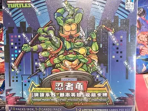 Teenage Mutant Ninja Turtles TMNT Precious Hobby Box
