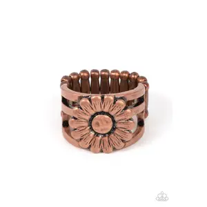 Roadside Daises Copper