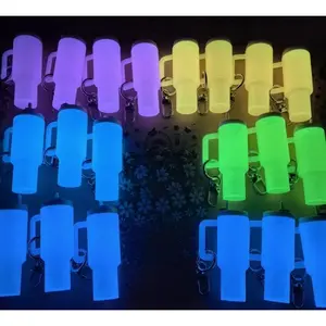 70pcs Luminous Mini Keychains Stickers Set Including Random Luminous Keychains and Cartoon Stickers Can Used To Be Gift or Lipstick and Coin Storage Diy