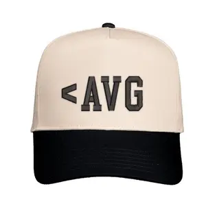 Almost Average | Less Than AVG Hat
