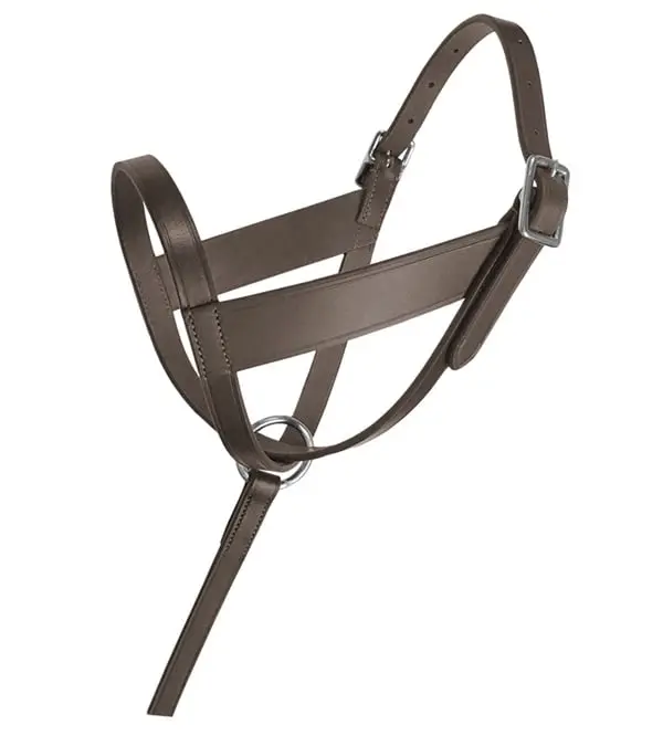 Jacks 1656 Lexington Adjustable Leather Foal Halter, Secure Fit Pet Equine Headgear, Classic