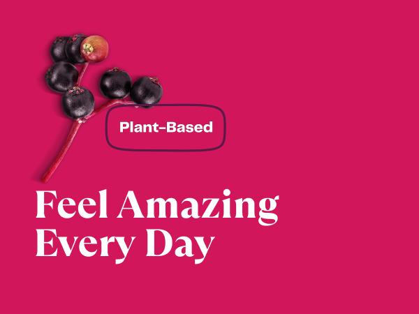 Amazing Grass Greens Blend Immunity Elderberry, 7.4 Oz, 30 Servings Healthcare Edible Vitamin Dietary