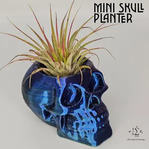 Skull Planter, Halloween, Fall Decor, Spooky, Plant Holder, Goth Decor, Pumpkin Spice, Boho, Autumn, Air Plant Holder, Skeleton, Pumpkin, Costume, Trick Or Treat, Halloween, Scary,