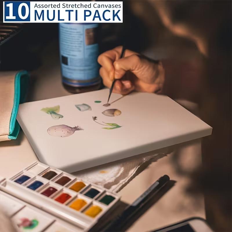 10 Pack Multi-Size Stretched Canvas Panels,11x14 9x12 8x10 5x7 4x4 White Blank 100% Art Canvas for Acrylic, Watercolor, Oil Painting  Wet Dry Art Media
