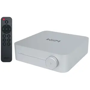 WIIM AMP SILVER