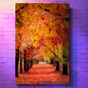 Chromaluxe® Aluminum Photo Panels