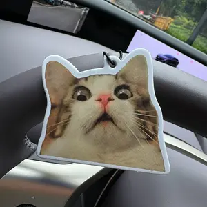 Surprised Cat Meme Car Air Freshener, Long-Lasting Scented Paper Pendant for Rearview Mirror & Vent, Car Vent Accessories, Stress Relief Aromatherapy Accessory, Car Fragrance, Car Deodorizer