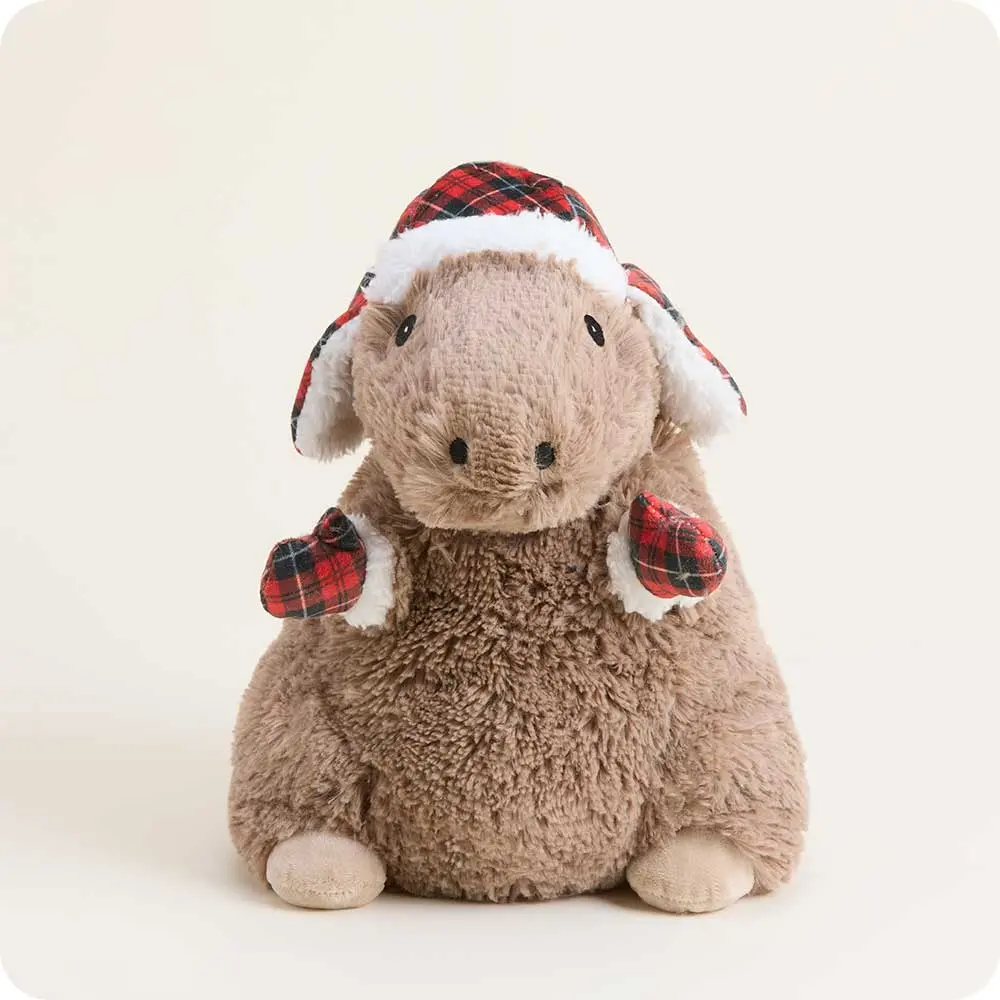Cozy Capybara Warmies