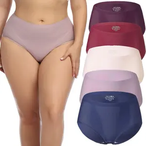 Womens Nylon Seamless Underwear Pack Available in High Waist Briefs and Low Rise Hipster for Legging No Show Panties