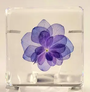 38mm Real "Nikko Blue" Hortensia Flower in Crystal Clear Lucite Resin Specimen Sky Blue Hydrangeas Botanist Herb Herbarium Collection