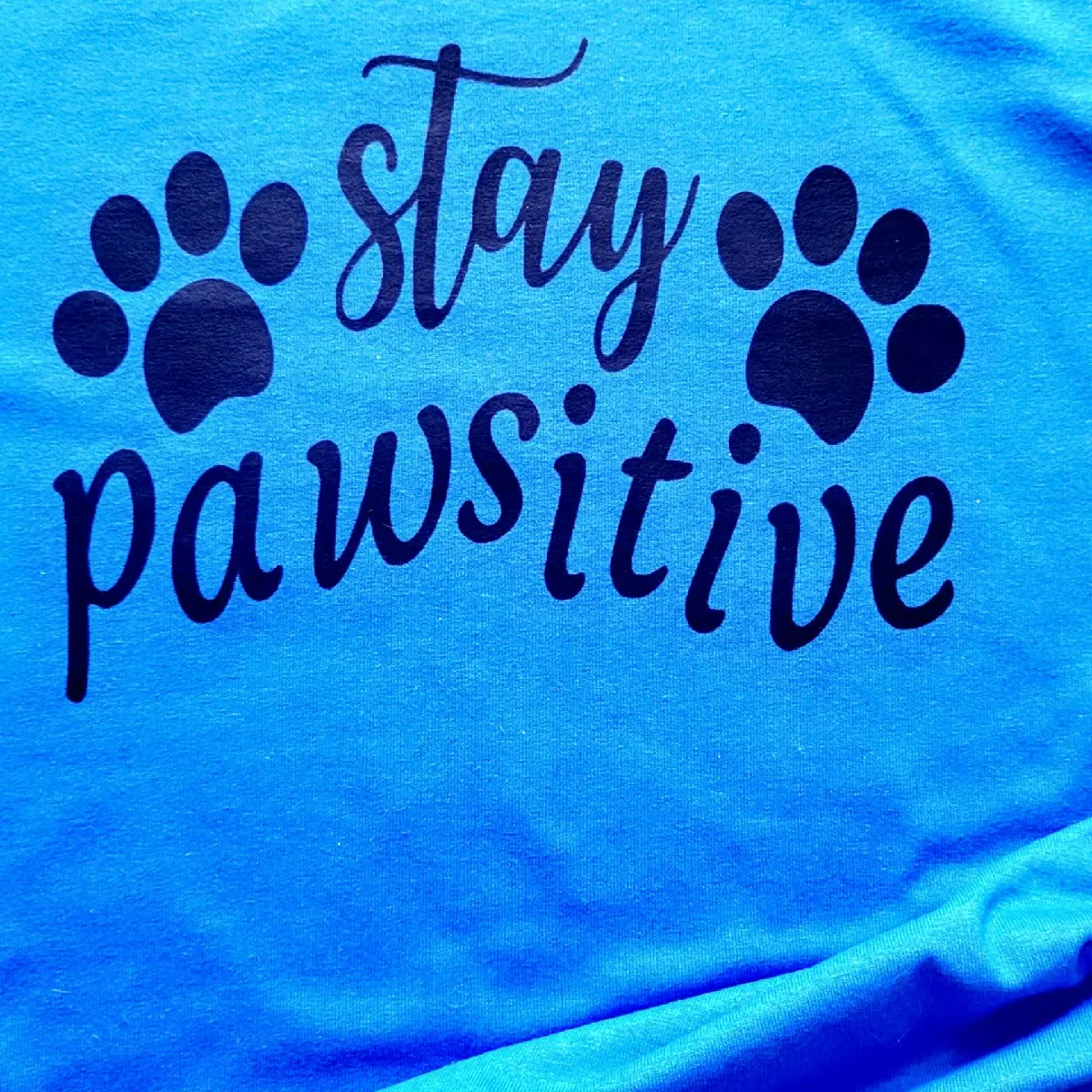 Stay pawsitive blue short sleeve Gilden unisexed heavy cotton