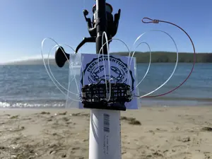 Reel Adventures Crab Snares