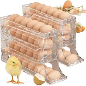 4 Tiers Egg Holder for Fridge with 30 Egg Capacity, 2 Pack Auto Rolling Egg Storage Organizer, Space Saving Egg Tray in Kitchen Clear, Stackable fridge organizer
