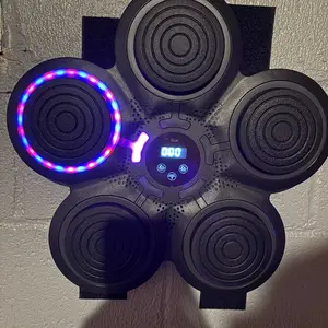 1）Bluetooth Music Boxing Machine with Gloves, Wall-Mounted Home Workout Target, Typec Charging, Punching Target boxing music machine with gloves Adults