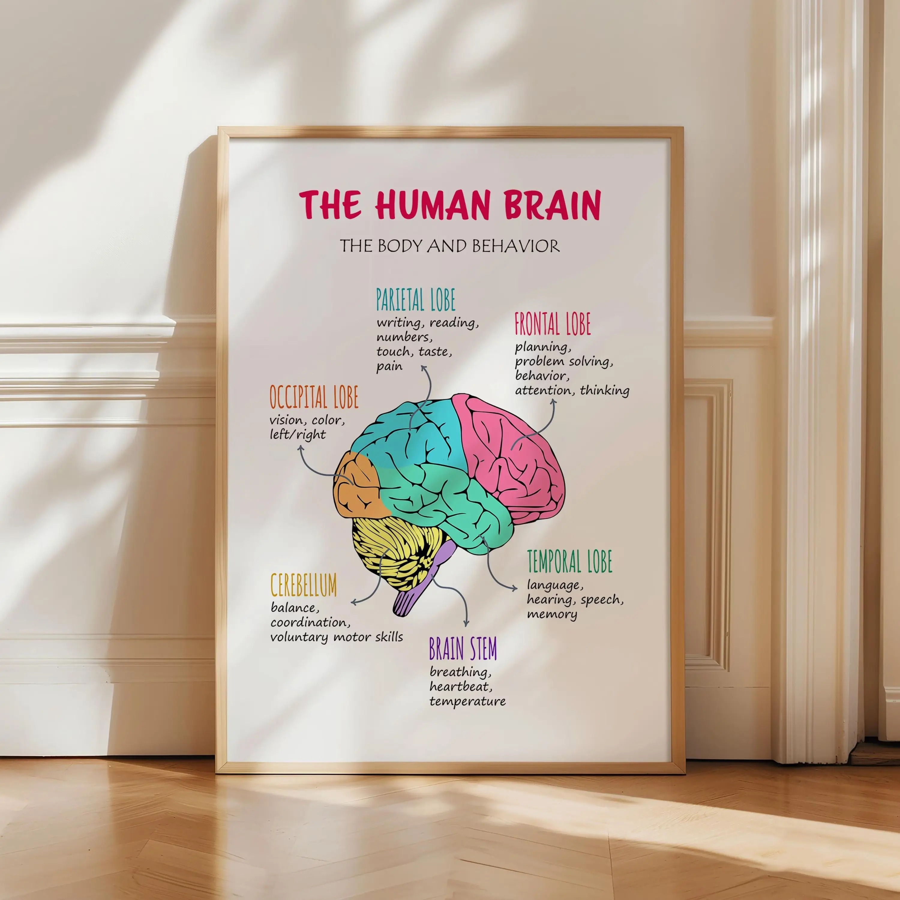 Brain Poster, Brain Lobes Functions, Therapy Office Decor, The Human Brain, Brain Anatomy for Kids, Classroom Poster, Psychology