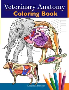 Veterinary Anatomy Coloring Book:  Physiology Self-Quiz Color Workbook for Studying and Relaxation |   For Vet Students and even Adults - Paperback