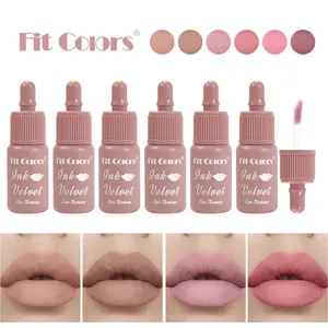 Fit Colors Matte Velvet Nude Brown Lipstick Makeup Waterproof Velvet Lip Stick Easy To Wear Long Lasting Waterproof Lasting Matte Nude Lip Gloss Non-stick Cosmetic