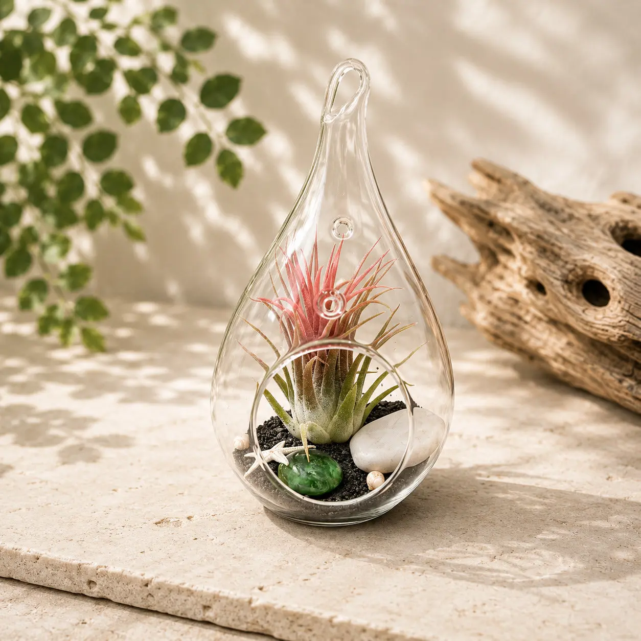 Teardrop Beach Terrarium with Black Sand