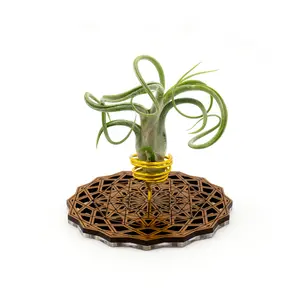 Wire Air Plant Holder 9 - Unique Plant Display Stand // Geometric Modern Wood Home Decor Table Shelf Desk Plant Lover Gift Idea