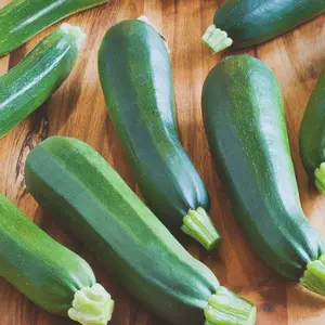 Heirloom Black Beauty Summer Squash Seeds - Organic and Regenerative Gardening Seeds