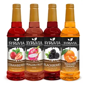 Syruvia Fruit Fusion Syrup Variety Pack – Strawberry, Dragon Fruit, Blackberry & Mandarin Orange Flavored Syrup – Perfect for Mocktails, Lemonades, Sodas & More – 25.4 Fl oz Bottles (4 Pack)