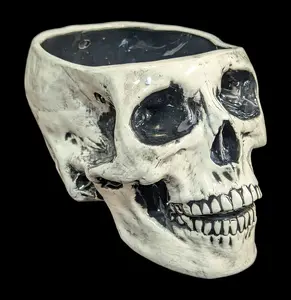 Large Ceramic Skull Planter