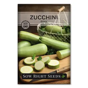 Grey Zucchini