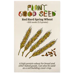 Red Hard Spring Wheat Seeds for Planting: Certified Organic, High Protein Grain for Dough Making, Sourdough Breads, Cover Crop - 200 Seed Packet / Bulk Pack