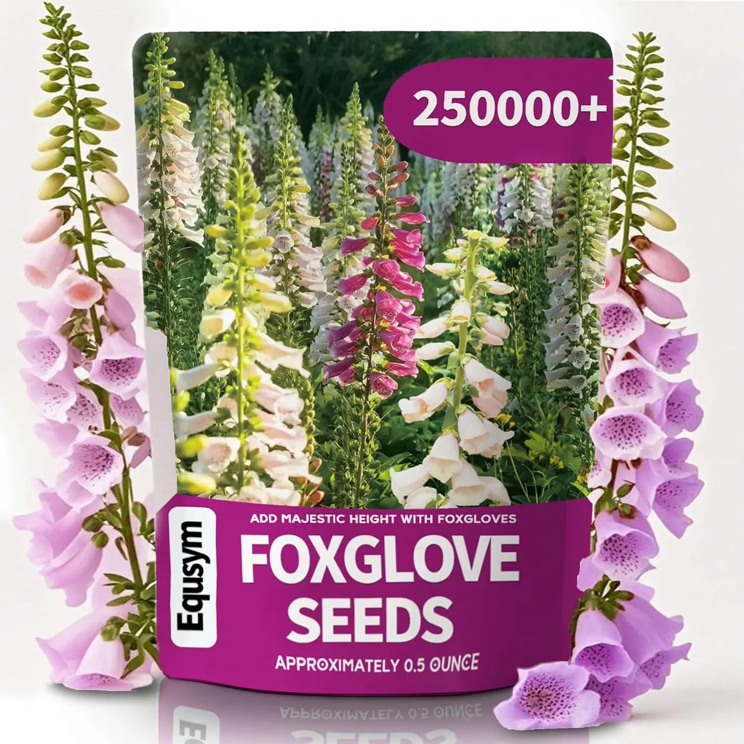 250,000+ Foxglove Seeds Bulk Pack, Mixed Colors for Garden Borders | Tall Spire Blooms, Easy Planting for Home Gardening, Ideal for Backyard Flower Beds, Landscaping, Pollinator-Friendly Gardens